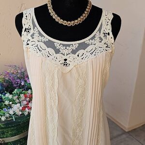 Blu Pepper romantic pullover shift style dress size medium